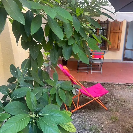 Daire Teagarden Centro Storico Bolonya